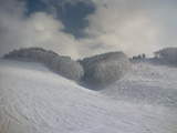 2006020502