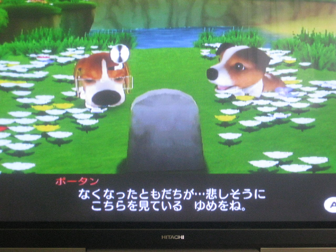 Thedog Island ひとつの花の物語 Okasi3310の毎日日記 絶賛放置中