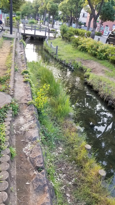 20180609_175713