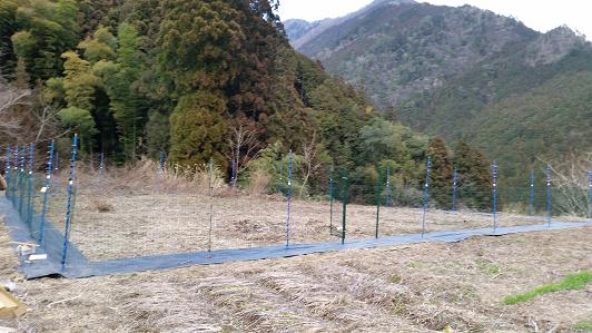 電気柵作り サルから農作物を守り抜け 大川村の下剋上 元 日本一人口が少ない村の日々