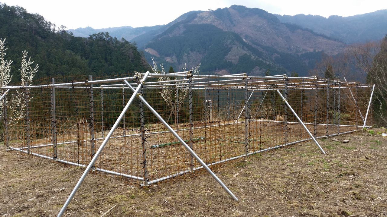囲い柵作り サルとの戦い 大川村の下剋上 元 日本一人口が少ない村再建の記録