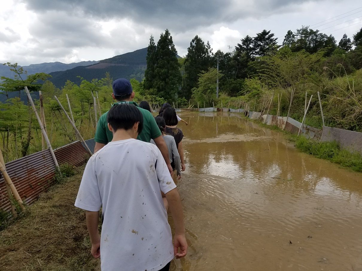 村の子供たちと田んぼの代かきをしました 大川村の下剋上 元 日本一人口が少ない村の日々