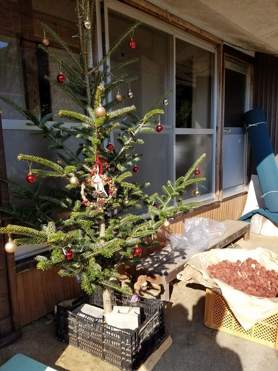 もみの木を切ってクリスマスツリーを作りました 大川村の下剋上 日本一小さな村の記録