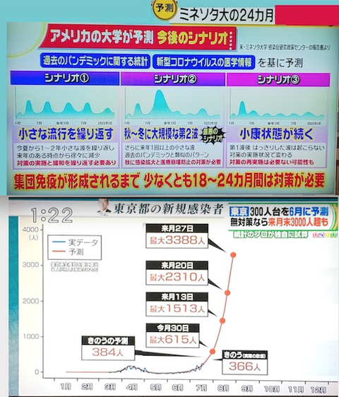 土屋隆 教授 予想 とミネソタ大の予想を考察