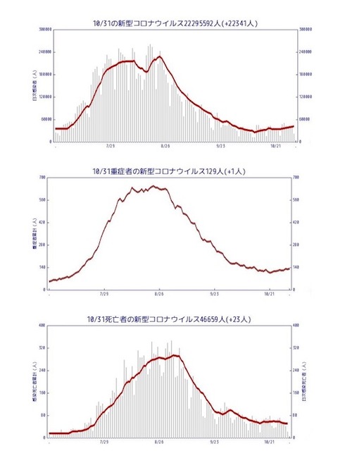 全国感染者重症者死亡者1031