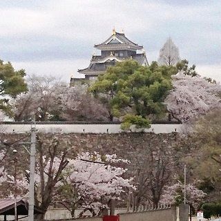 岡山市・後楽園東側の旭川河川敷 05