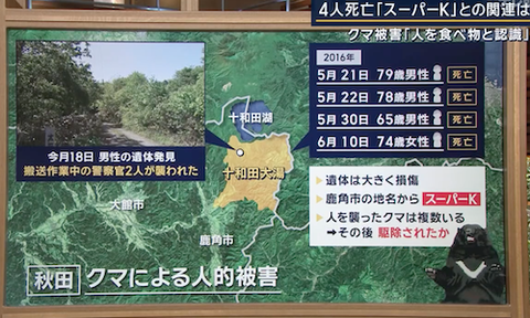 06クマ
