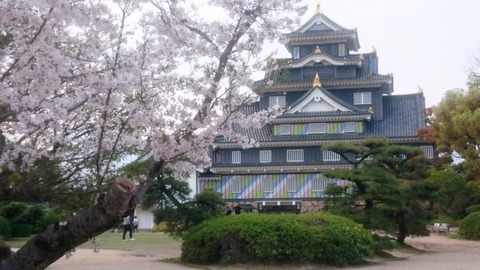 岡山城 ポップ さくらDSC_0677 のコピー