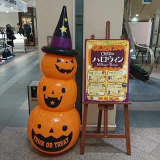 岡山　クレド　F1
