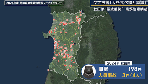01クマ