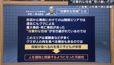 08クマ
