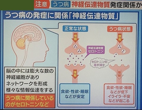 53 家族のうつ病リスク