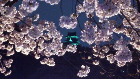 岡山城 と 夜桜DSC_1842 - コピー