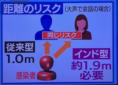 インド型変異 富嶽01