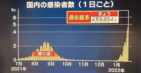 国内感染推移0121