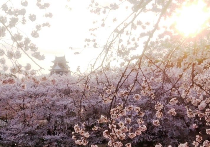 岡山 すごいきれい 岡山後楽園で桜が見頃 4日満開発表 たくさんの花見客でにぎわう 2019岡山さくらカーニバル 世界 地域 岡山 に目を向けグローバル 366 岡山県を中心にグローカル Gps Aps 岡山 すごいきれい 岡山後楽園で桜が見頃 4日満開発表 たくさんの花見客でにぎわう 2019岡山さくらカーニバル 世界 地域 岡山 に目を向けグローバル 366 岡山県を中心にグローカル Gps Aps