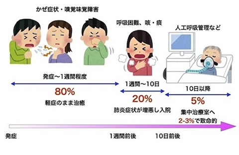 新型コ 症状?流れ