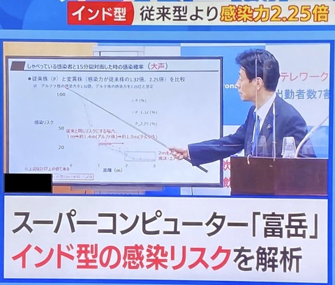 インド型変異 富嶽aa