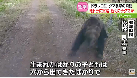 クマ03