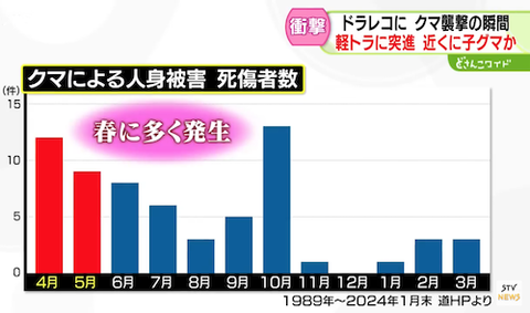クマ00