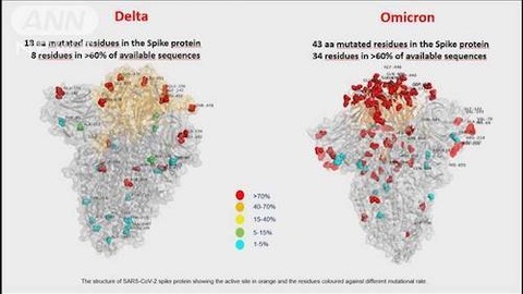 デルタ株　とオミクロン株　比較