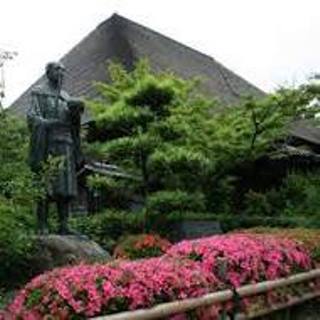倉敷 円通寺 つつじ