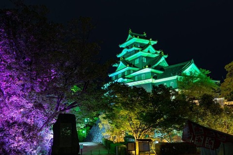 岡山城　春