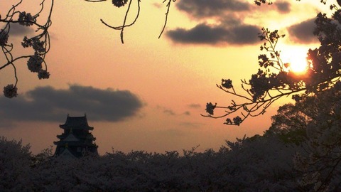 岡山城 と 桜 夕日DSC_1762 - コピー