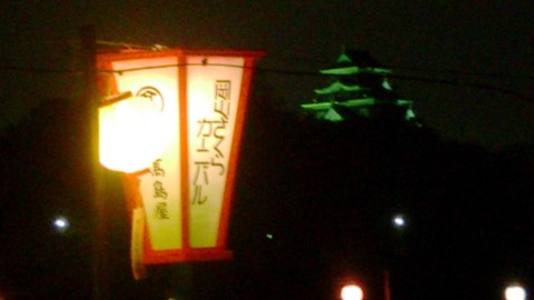 岡山城 ライトUP DSC_2016