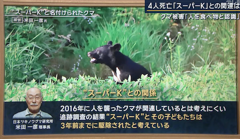 07クマ