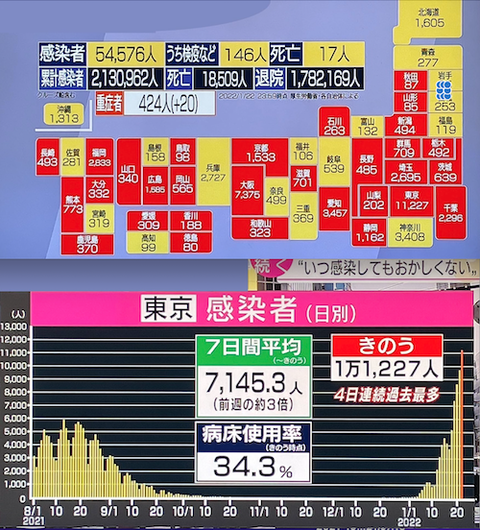 全国(東京)感染者推移0122