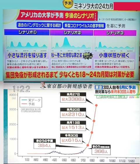 土屋隆 教授 予想　とミネソタ大の予想を考察