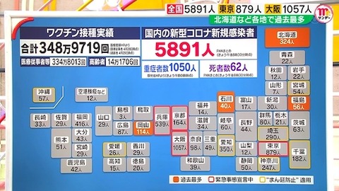 第4波 変異株04