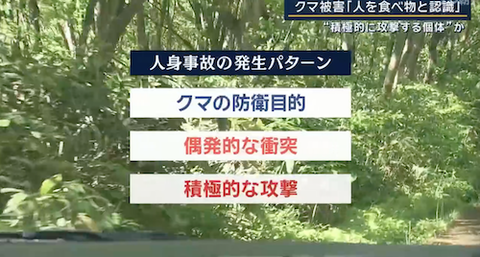 04クマ