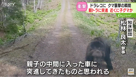 クマ02