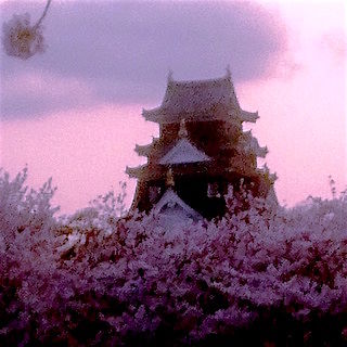 岡山城 桜 畑 夕暮れDSC_0459 - コピー のコピー 2