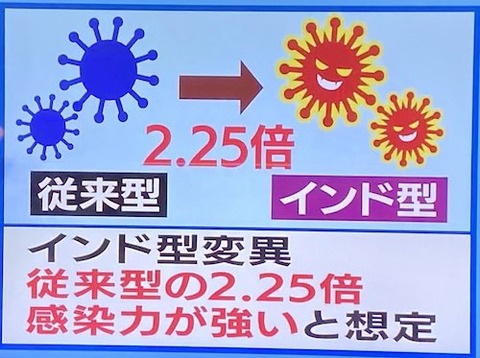 インド型変異 富嶽05