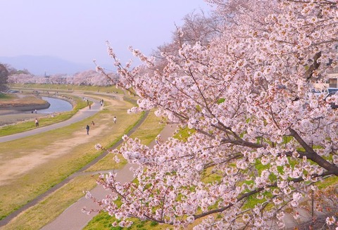 岡山　旭川河川敷　昼