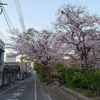 西川緑道公園　散歩道001　Ｌ