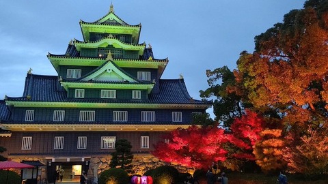 岡山城 秋