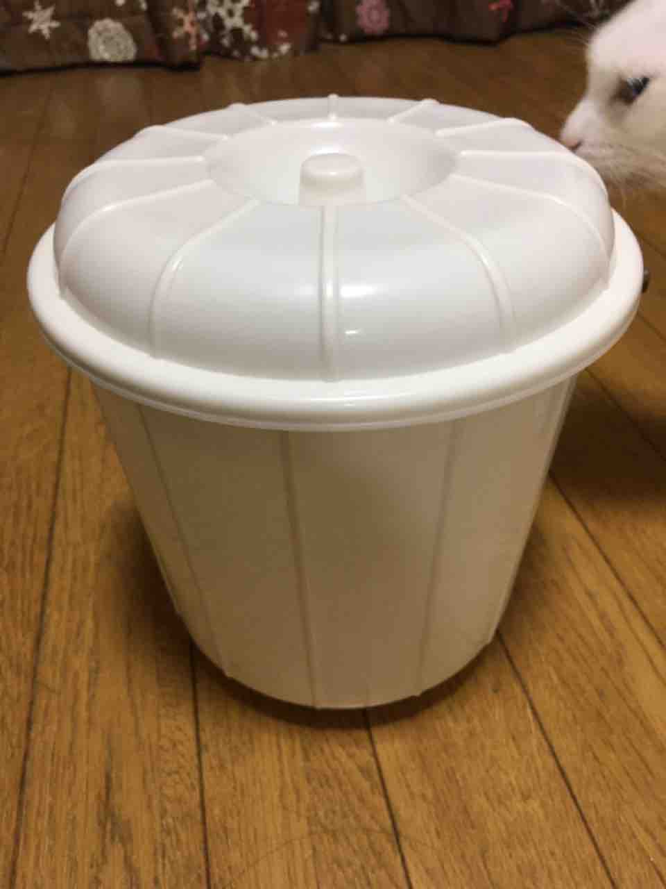 猫のトイレ掃除 岡山にゃんこ 猫のトイレ掃除 岡山にゃんこ