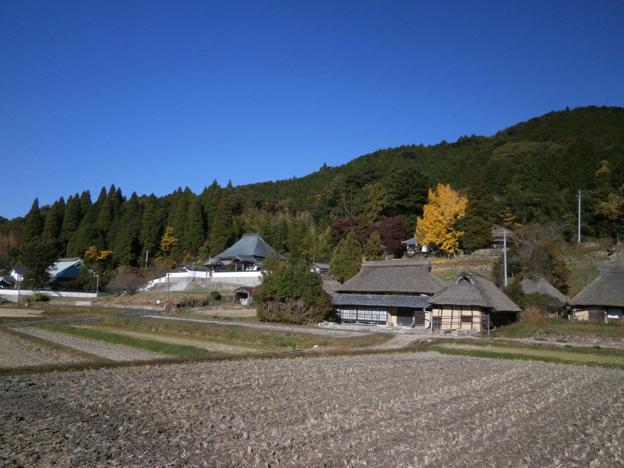 八塔寺ふるさと村散策 ある旅人の な日々 八塔寺ふるさと村散策 ある旅人の な日々