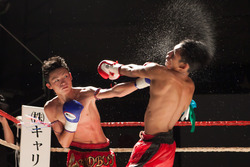 IMG (507)