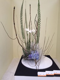 ikebana17