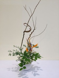 ikebana19