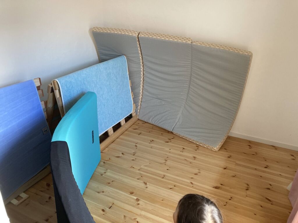 たぶんノミに噛まれたのでバルサンを焚きました 岡山で古家のリノベーションとdiyと子育て たぶんノミに噛まれたのでバルサンを焚きました 岡山で古家のリノベーションとdiyと子育て
