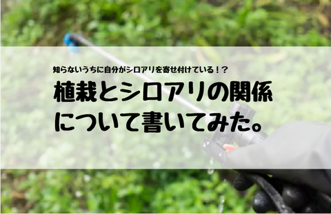 植栽とシロアリの関係