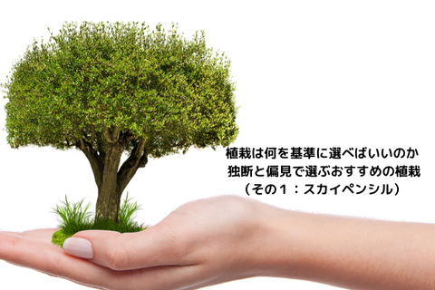 おすすめの植栽_1