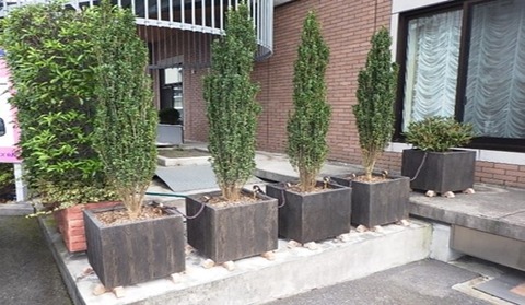 小山ガーデン株式会社 コンテナ植栽１-550-320