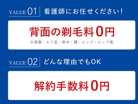 SnapCrab_NoName_2024-9-15_15-33-38_No-00
